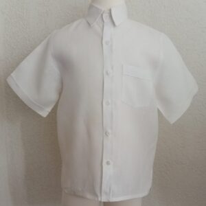 Camisa en lino manga corta