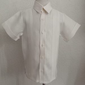 Camisa en lino manga corta