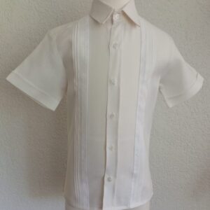 Camisa en lino manga corta