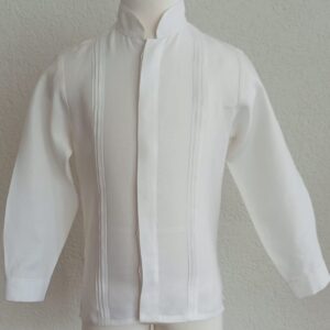 Camisa en lino manga larga